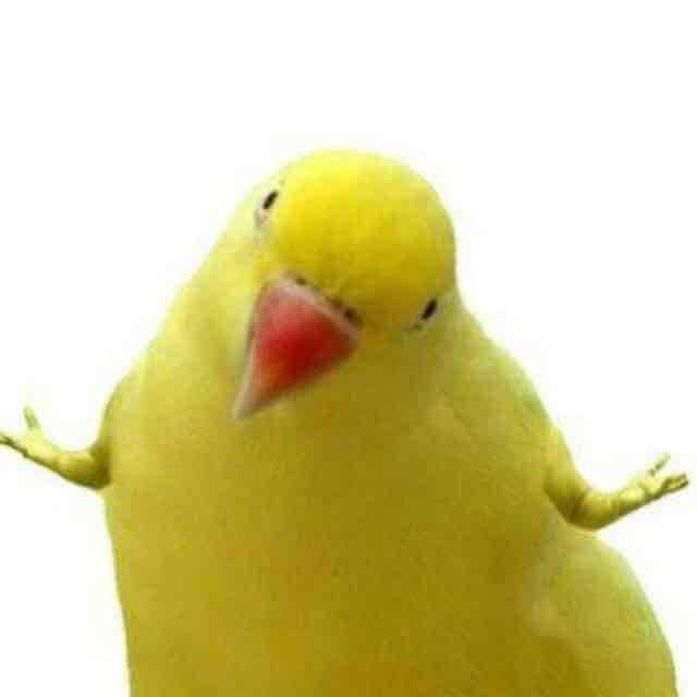 Amand (amand) Farcaster social identity (Fname handle) PFP