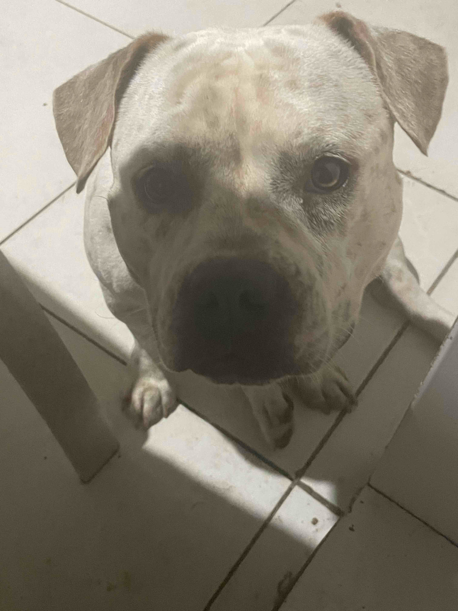 Laumeeast (laura12) Farcaster social identity (Fname handle) PFP