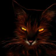 shadowcat Farcaster social identity (Fname handle) PFP