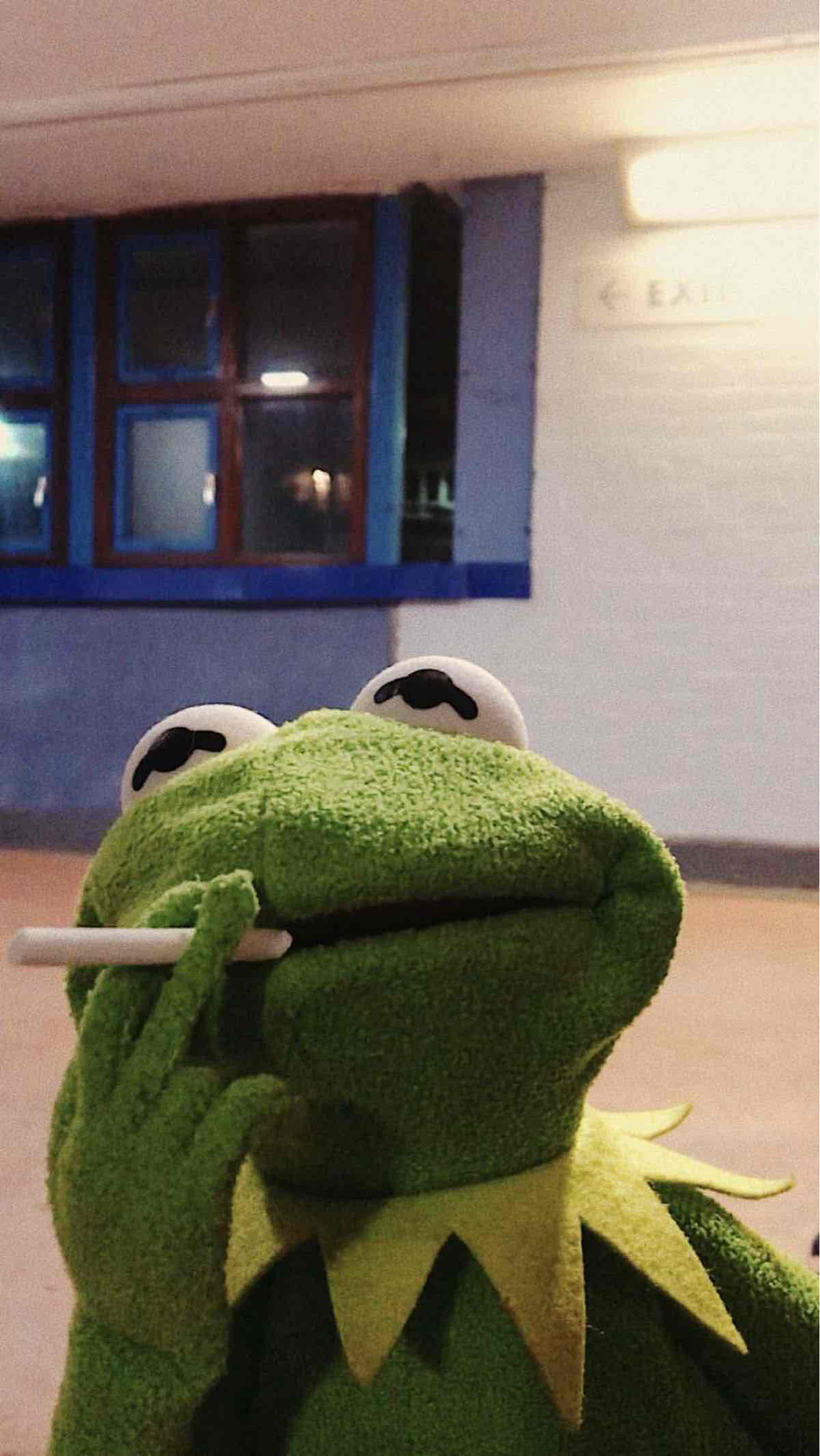 tedtalktimmy (an0nigga) Farcaster social identity (Fname handle) PFP
