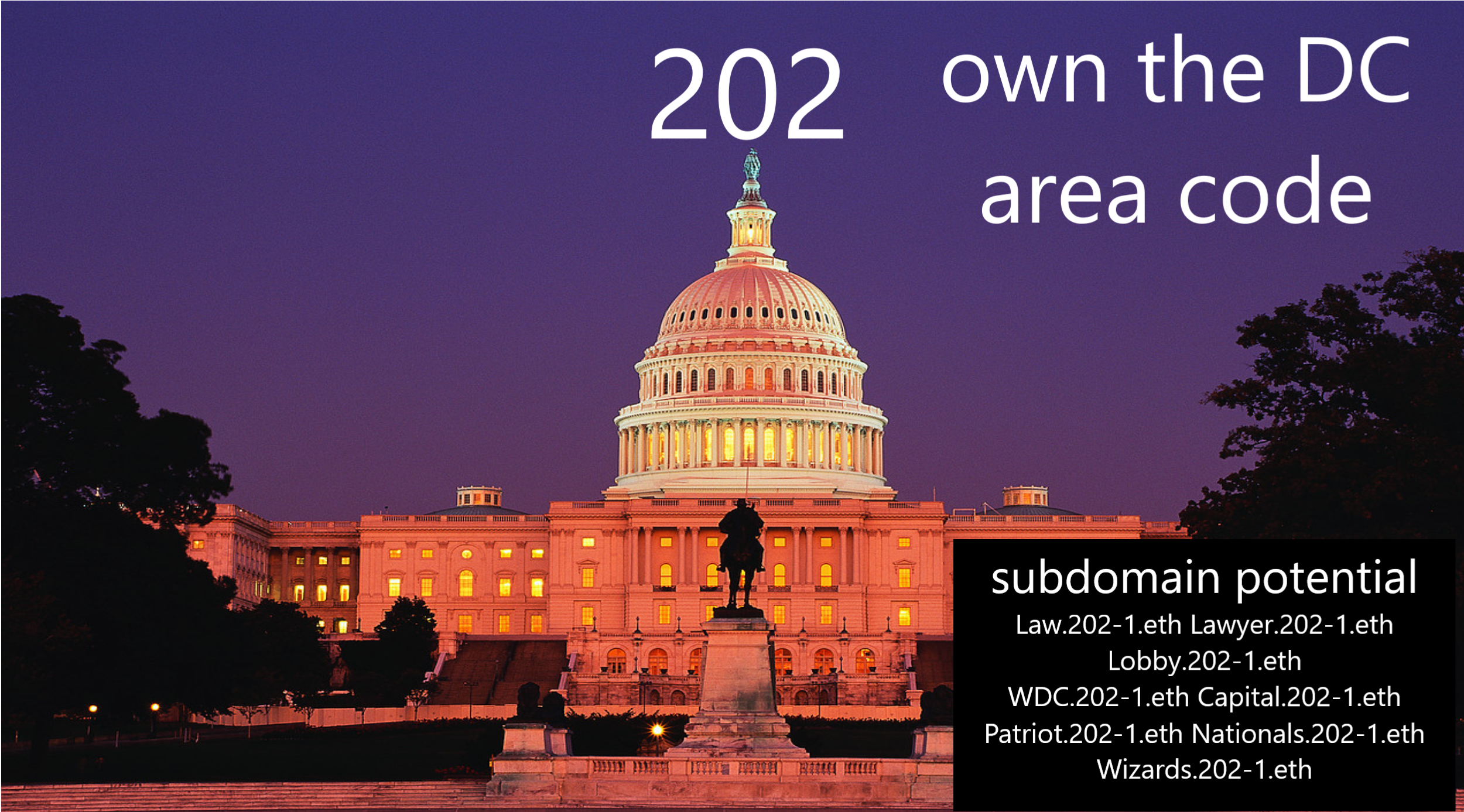 202-1.eth Ethereum Name Service (ENS and .eth domain) PFP