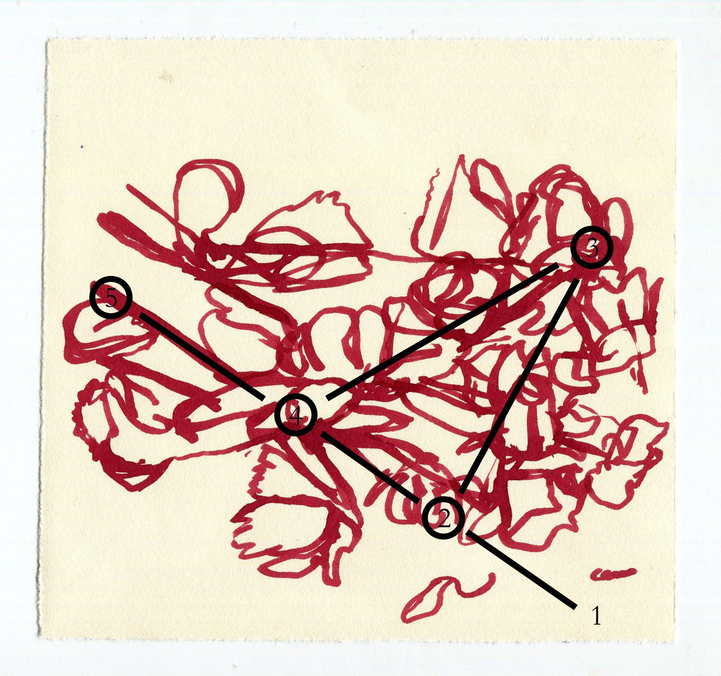 Ink drawing of a bouquet of roses in red with map nodes superimposed.