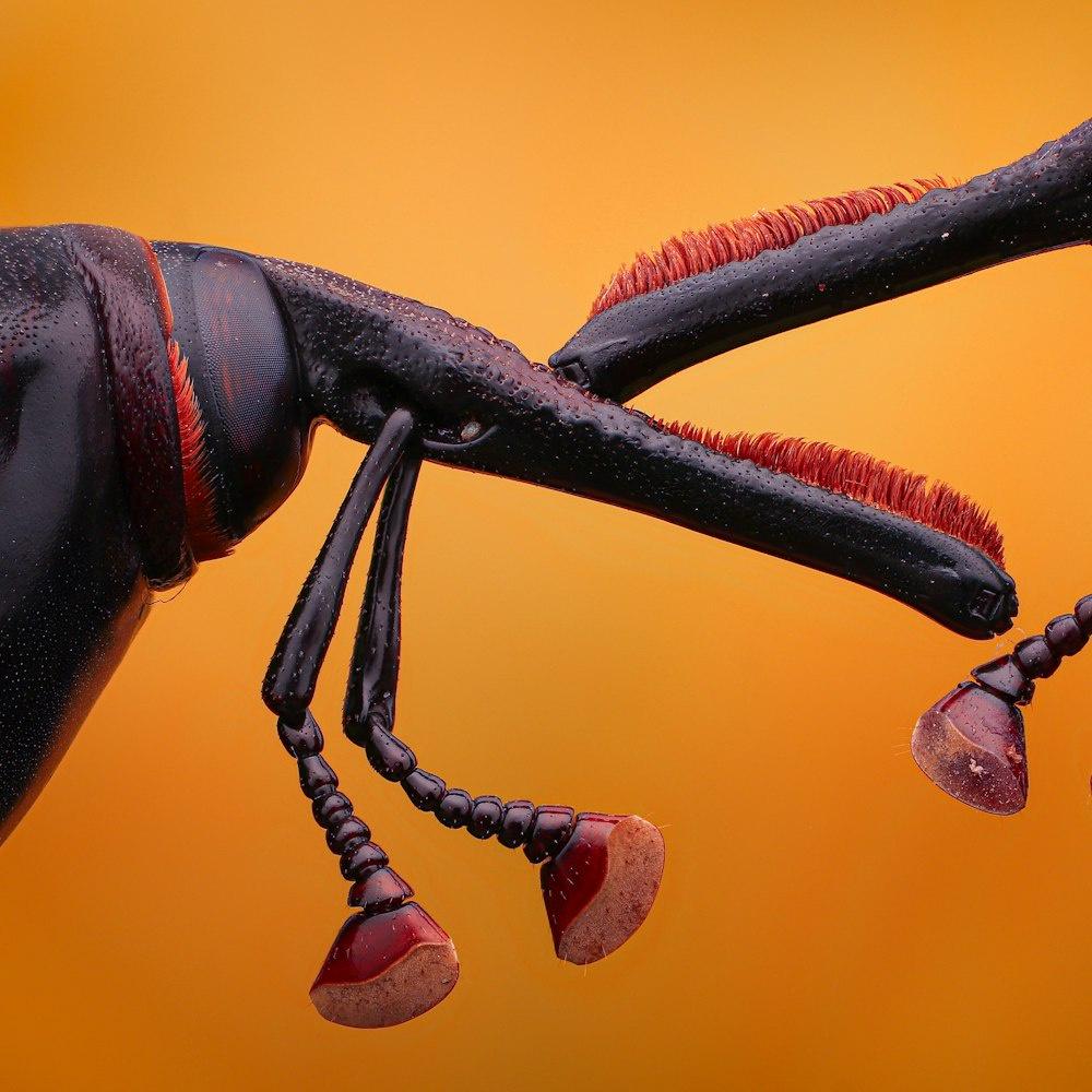 Robert Cunningham (robertcunningham) Farcaster social identity (Fname handle) PFP