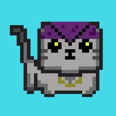 Tom T's Farcaster avatar