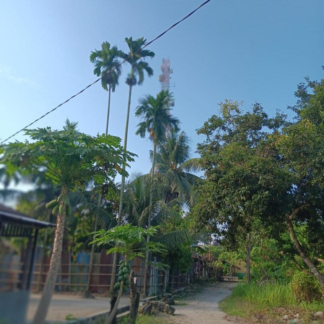 bunge Farcaster social identity (Fname handle) PFP