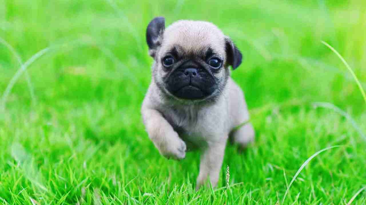 Maran (maran) Farcaster social identity (Fname handle) PFP