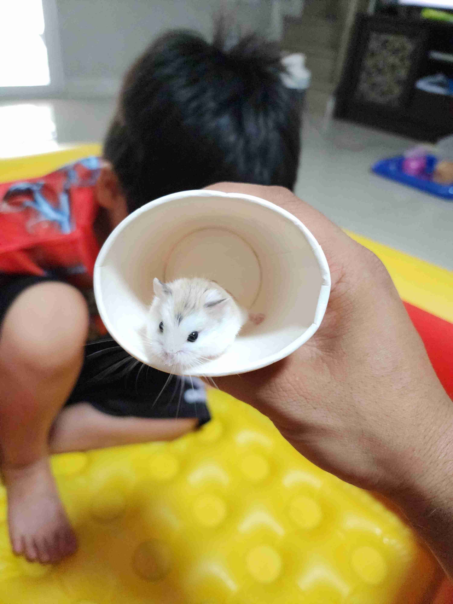 Boolinwad (boolinporter) Farcaster social identity (Fname handle) PFP