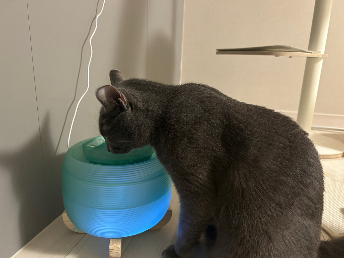 Kim Mul Gyeol (kimwave00) Farcaster social identity (Fname handle) PFP