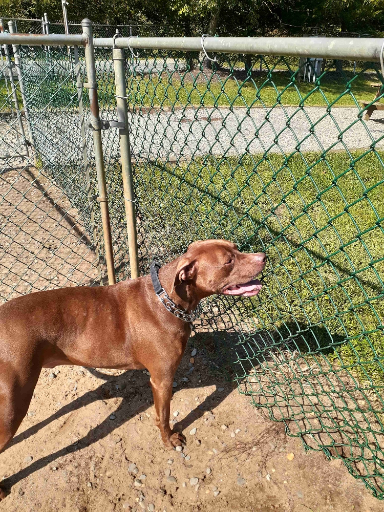 Robert (robski) Farcaster social identity (Fname handle) PFP