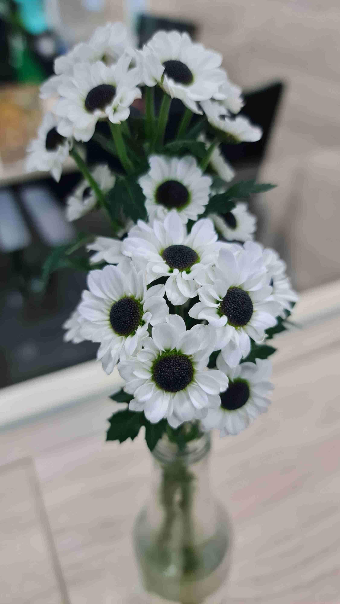 Artty (artty) Farcaster social identity (Fname handle) PFP