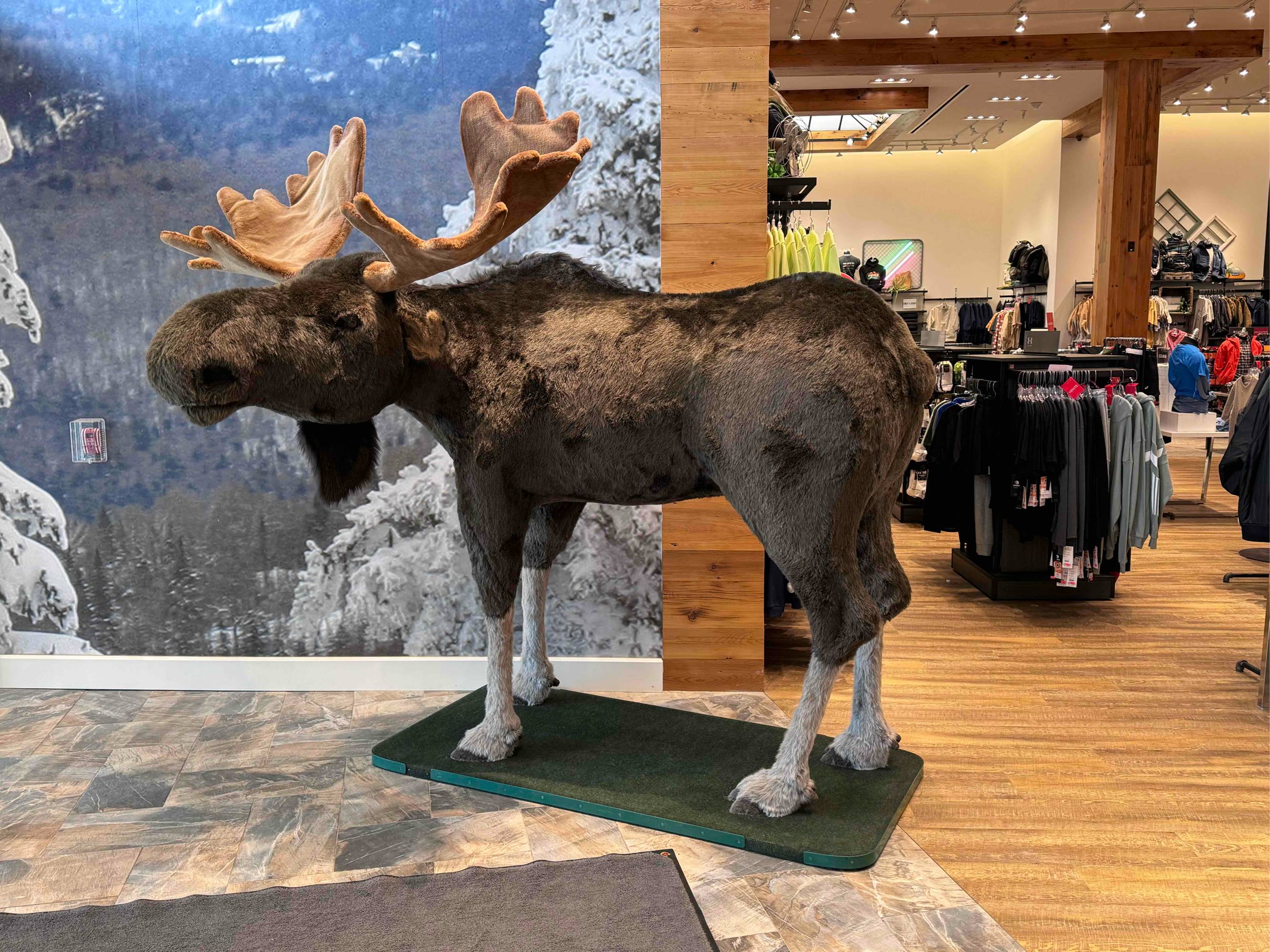 Ben (spockwall) Farcaster social identity (Fname handle) PFP