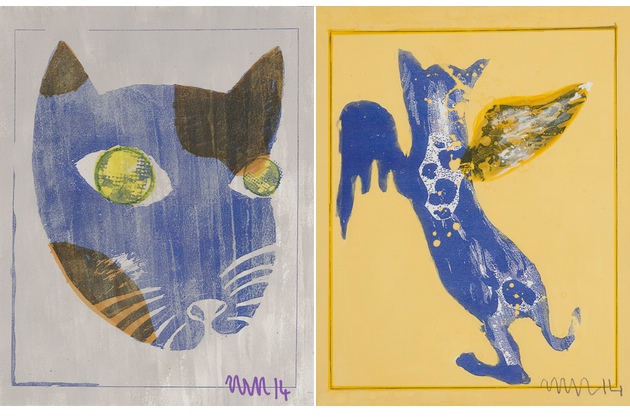 cats0001