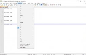 Notepad++ immagine 8 Thumbnail