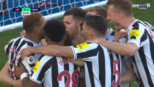 اهداف مباراة نيوكاسل و ليستر سيتي 3 0 الدوري الانجليزي