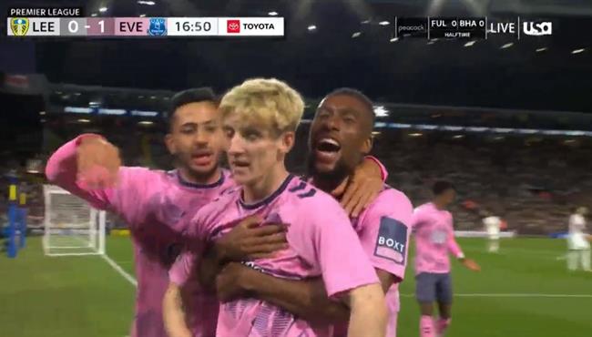 اهداف مباراة ايفرتون وليدز يونايتد 1 1 الدوري الانجليزي