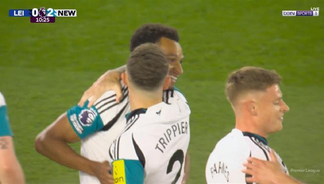 هدف نيوكاسل يونايتد الثاني في مرمي ليستر سيتي بالدوري الانجليزي