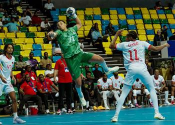 المغرب يفشل في التأهل إلى نصف نهائي كأس أمم إفريقيا لكرة اليد رغم الفوز على غينيا