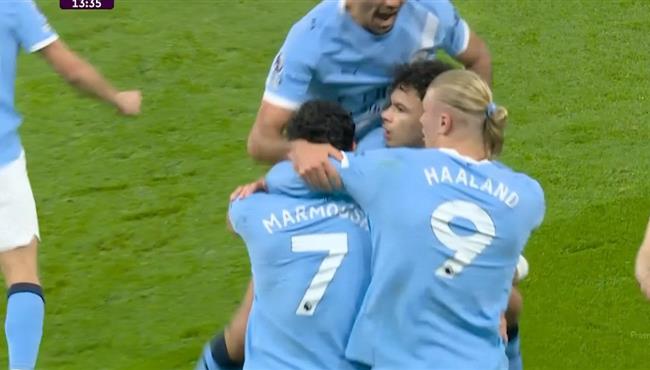 اهداف مباراة مانشستر سيتي ونيوكاسل 2 1 الدوري الانجليزي