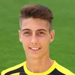 صوره ل L Hodgyai