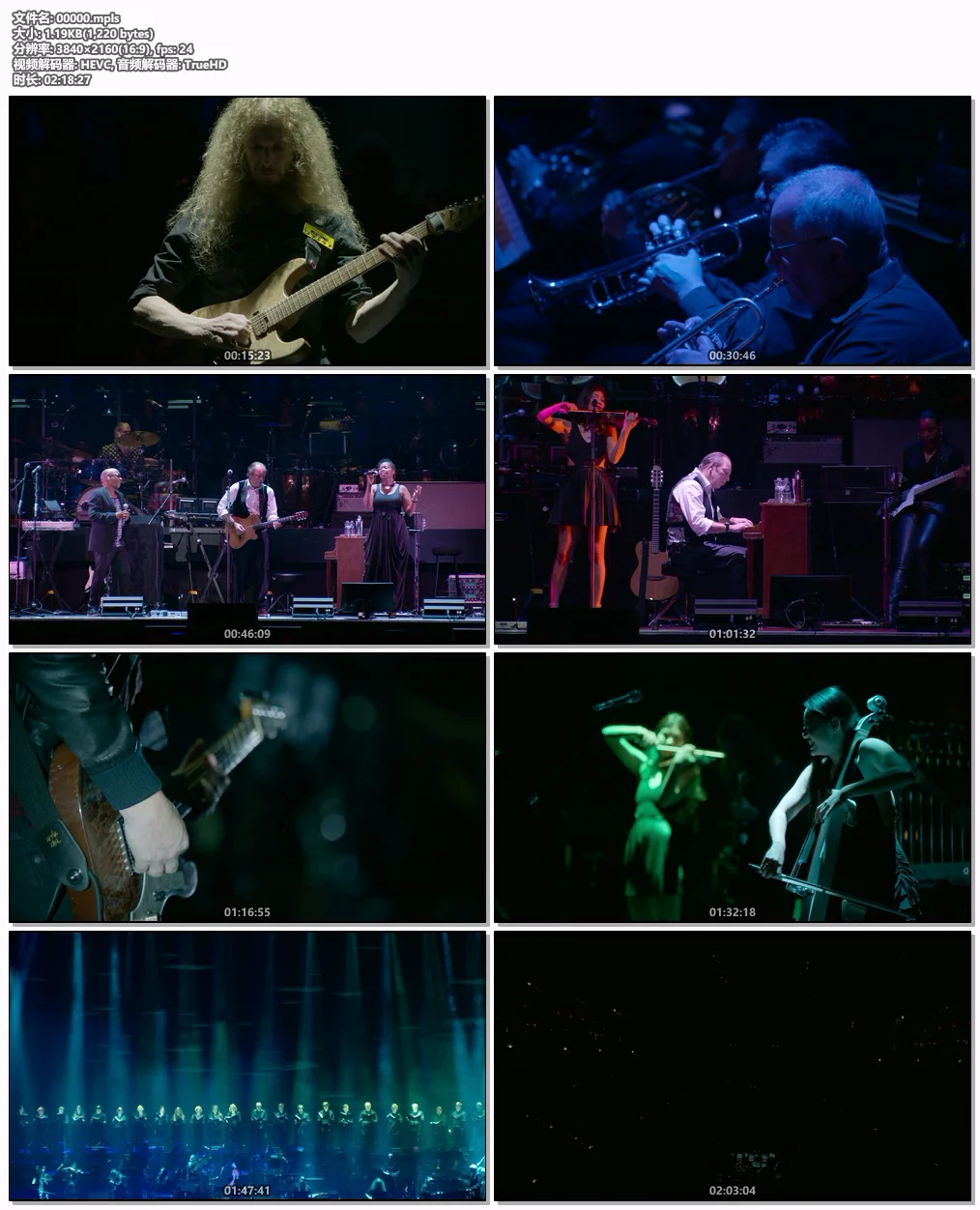 图片[6]-汉斯·季默：布拉格现场 Hans Zimmer Live in Prague 2017 2160p UHD Blu-ray DoVi HDR10 HEVC TrueHD 7.1 [BDMV 84.2GB]-蓝光演唱会资源网