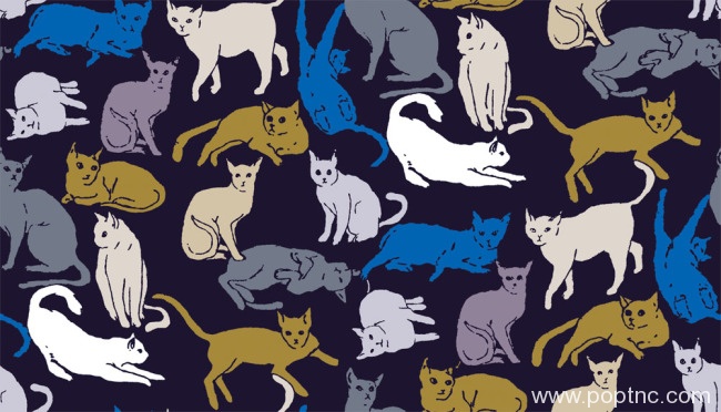 数码印花猫猫四方连续可拼接回位纹理图