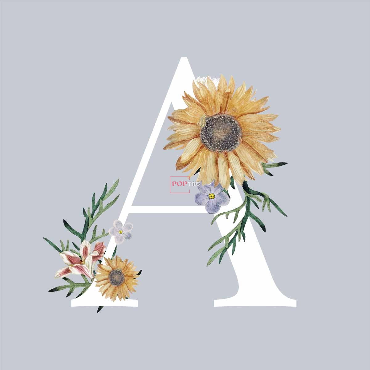 字母图案A小邹菊印花图案服装裁片T恤卫衣烫图印花花型素材