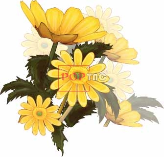 植物小邹菊印花图案服装裁片T恤卫衣烫图印花花型素材