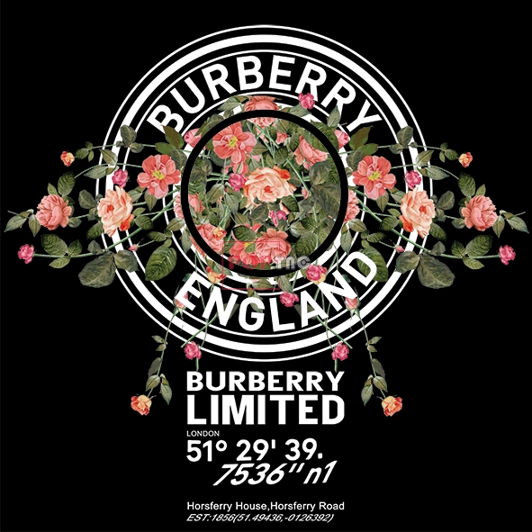潮牌BURBERRY植物玫瑰花印花图案服装裁片T恤卫衣烫图印花花型素材