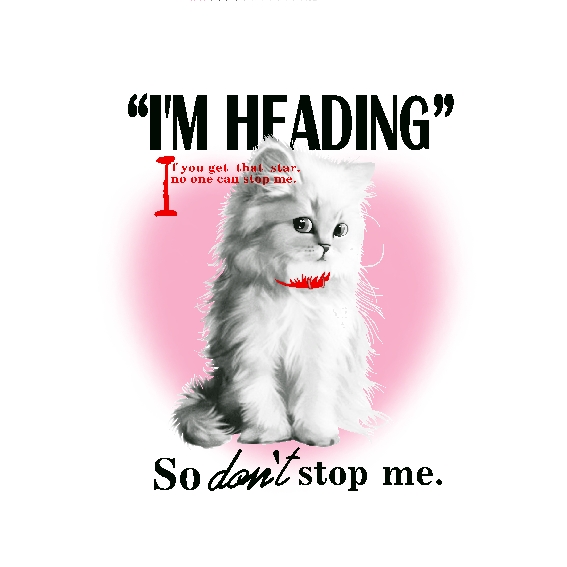 猫咪-92688