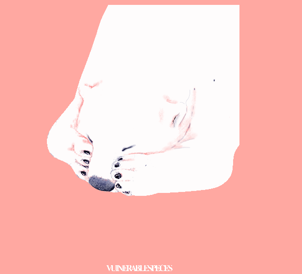 熊-89751