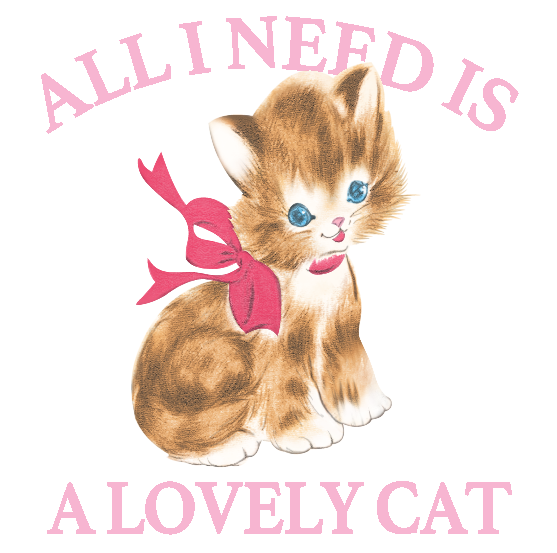 猫-85593