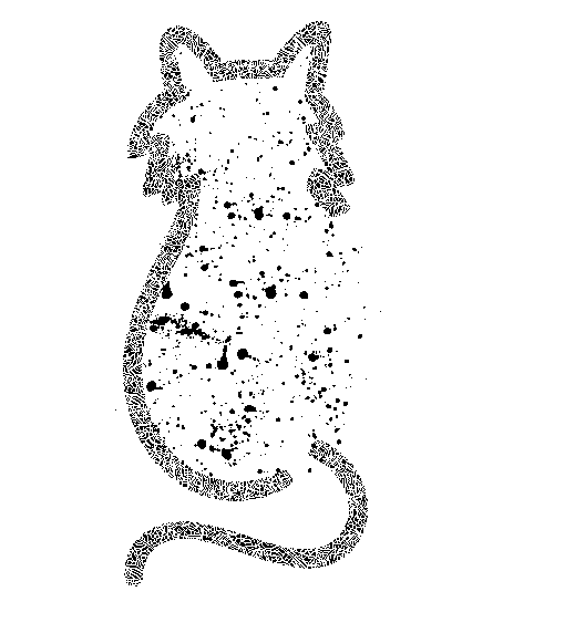 猫-84213