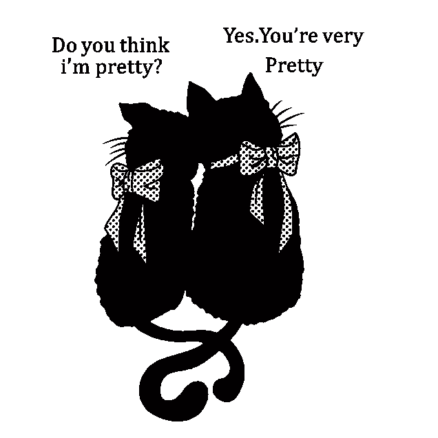 猫-80004