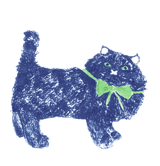 猫-70022