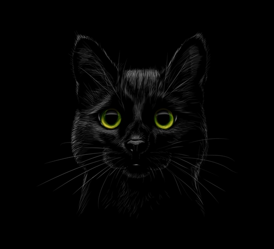 神秘黑猫裁片印花服装：独特设计引领潮流