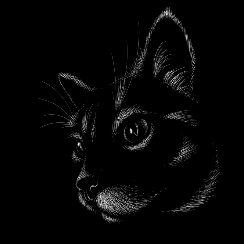 时尚前沿：独特黑猫裁片印花服装印花设计