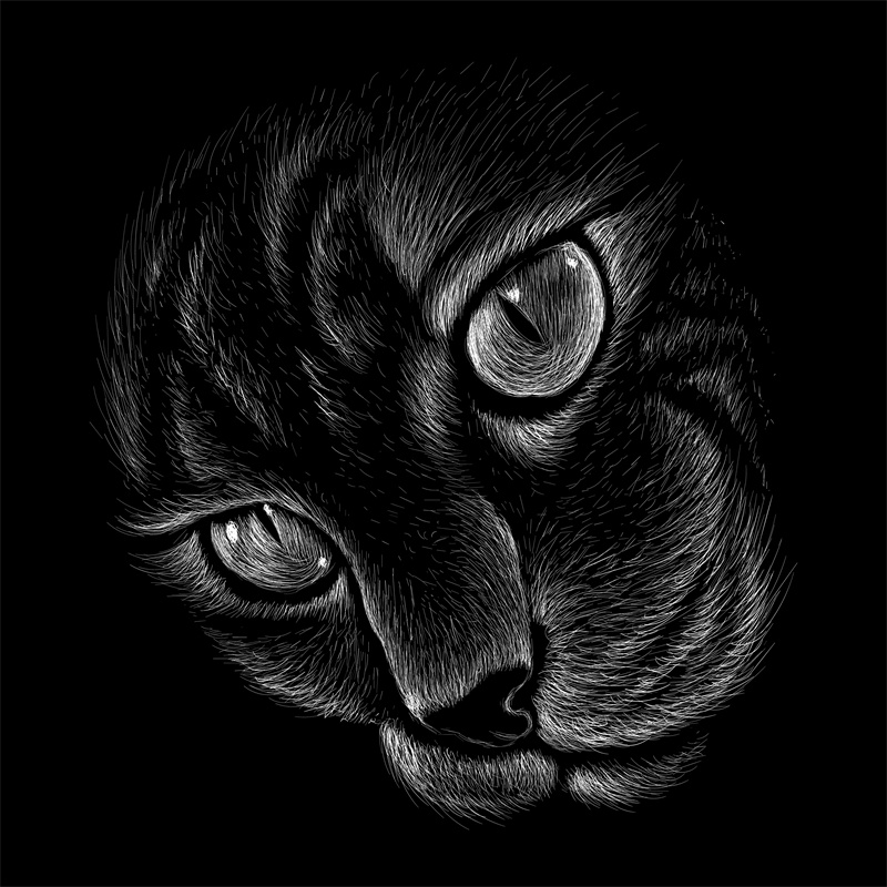 独特黑猫裁片印花设计，引领时尚服装印花新潮流