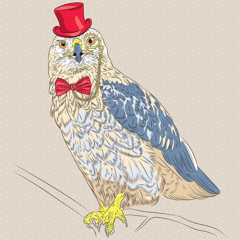 时尚猫头鹰裁片印花服装，创意个性服装印花设计