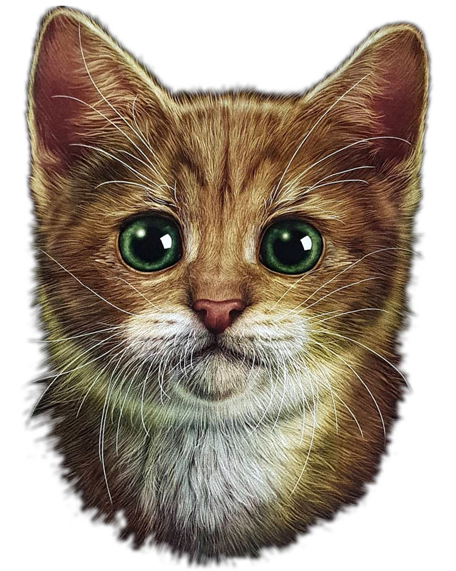 可爱猫咪裁片印花服装，时尚与萌趣的完美结合