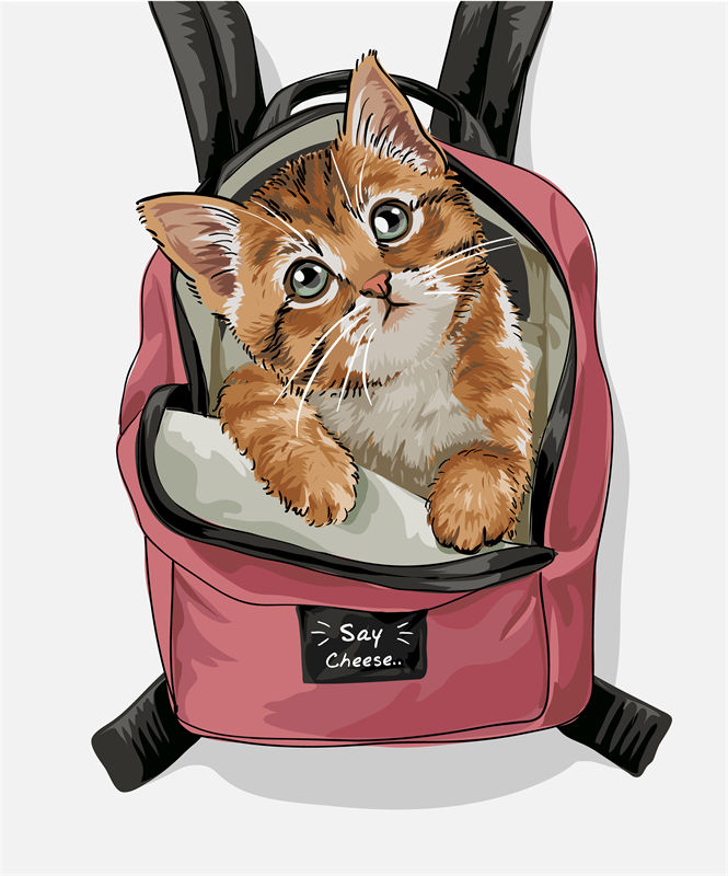 可爱猫咪裁片印花服装，趣味背包图案设计