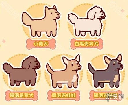 游侠网5