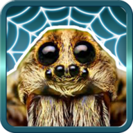 蜘蛛大乱斗SpiderBattles