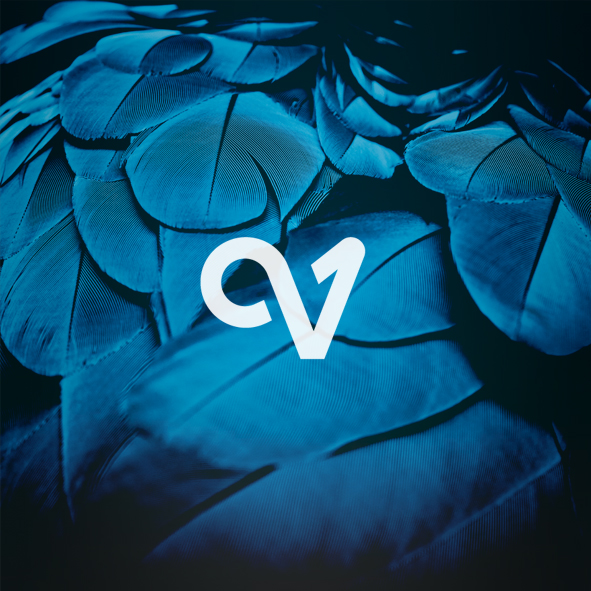 verticurl.eth Ethereum Name Service (ENS and .eth domain) PFP