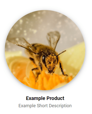 Classic grid round image example