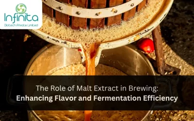 The Role of Malt Extract in Brewing: Enhancing Flavor and Fermentation Efficiency