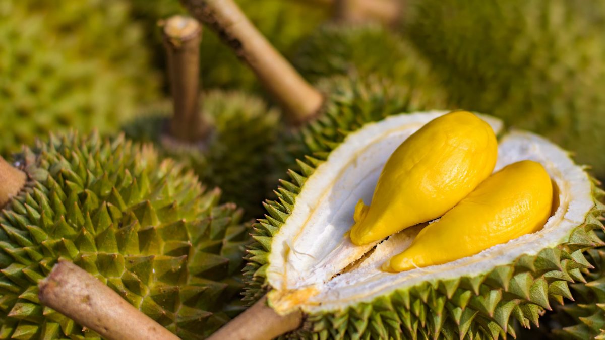 Smelliest Fruit