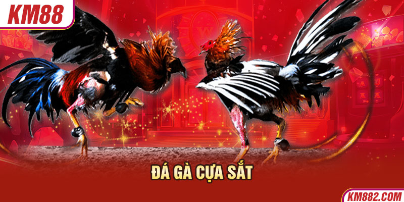 Đá Gà Cựa Sắt - Bí Quyết Chọn Chiến Kê Đặt Cược Hiệu Quả 6 đá gà cựa sắt
