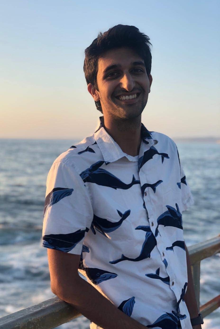 Karan Goel
