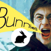 {cc} Bunnies make Harry angry :(