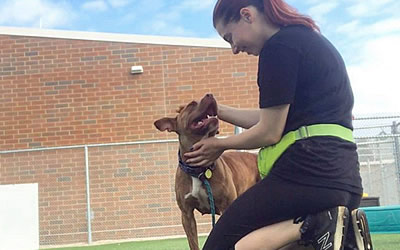 Lakewood Volunteer Helping with Pet Adoptions
